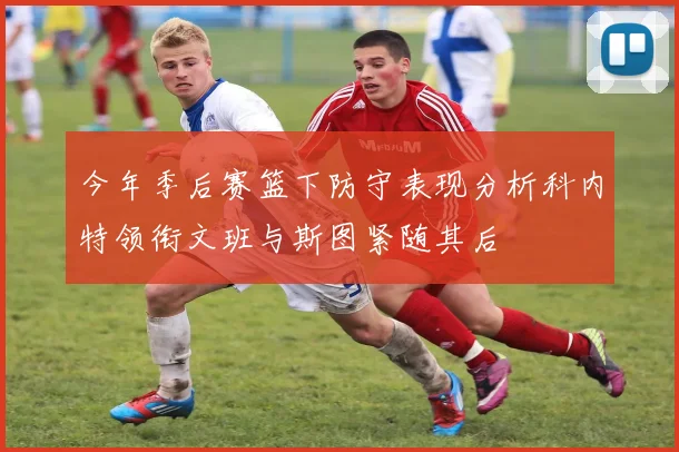 今年季后赛篮下防守表现分析科内特领衔文班与斯图紧随其后