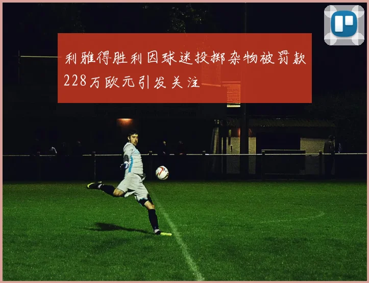 利雅得胜利因球迷投掷杂物被罚款228万欧元引发关注