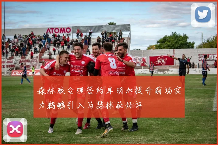 森林狼合理签约库明加提升前场实力鹈鹕引入马瑟林获好评